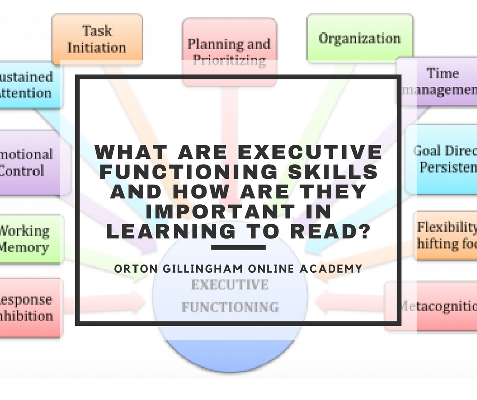 Executive function best sale and language development